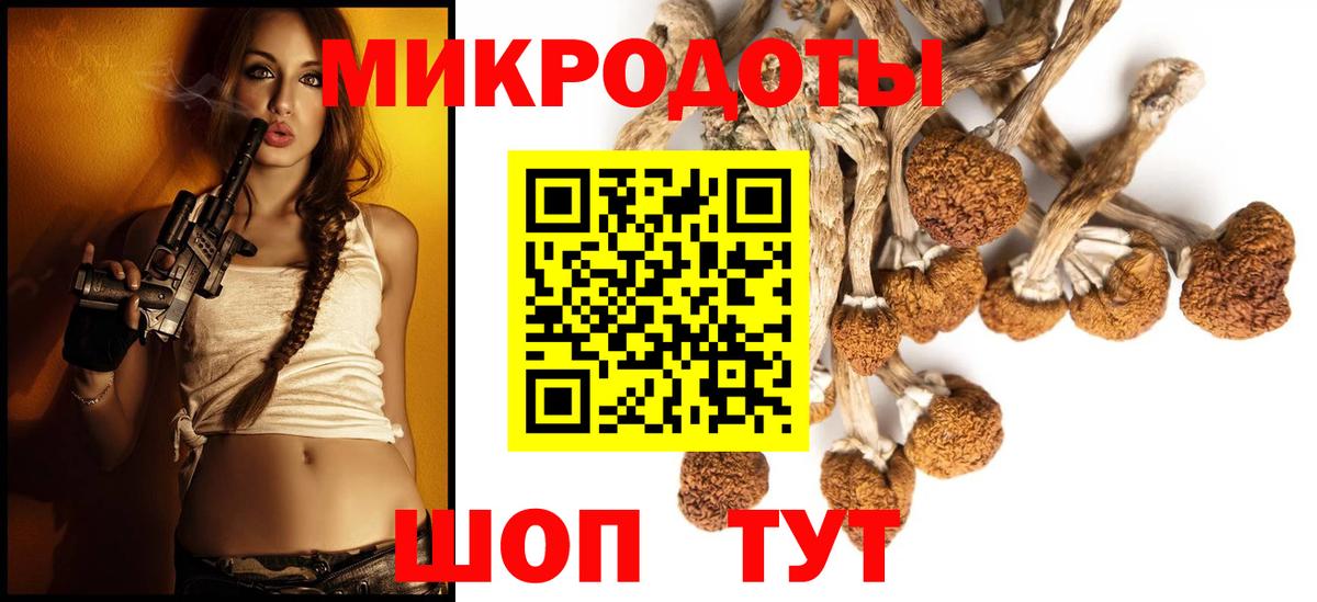 Галлюциногенные грибы Psilocybe Ковров
