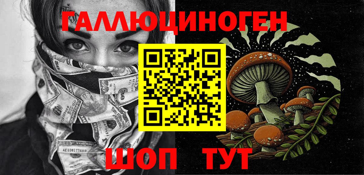 Псилоцибиновые грибы GOLDEN TEACHER  Вход с VPN  Ковров 